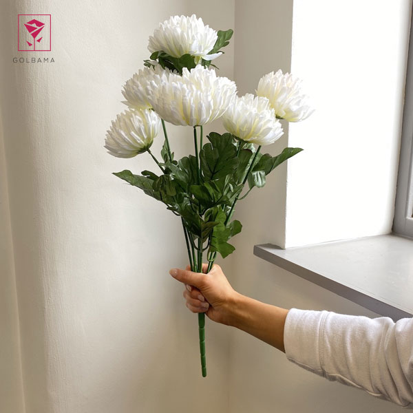 کوددهی گل داوودی