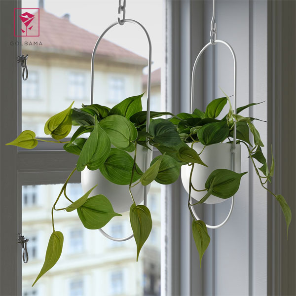 چگونه از گل پتوس مراقبت کنیم