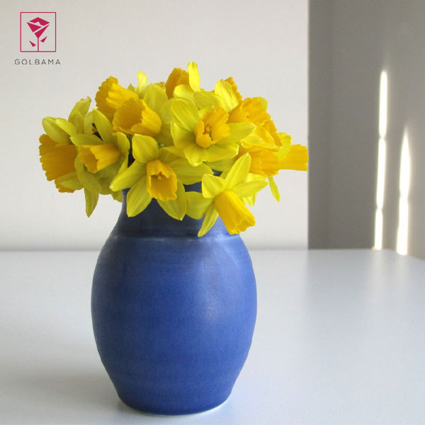 عمر گل نرگس در گلدان