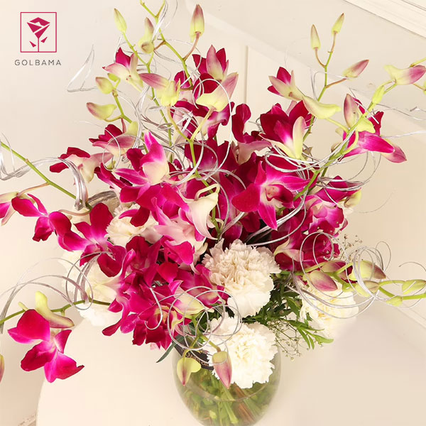 دمای مناسب برای نگهداری گل ارکیده