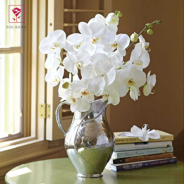 گلدان ارکیده