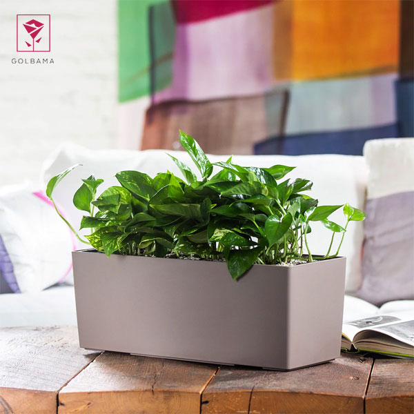 شیشه را با آب تمیز پر کنید