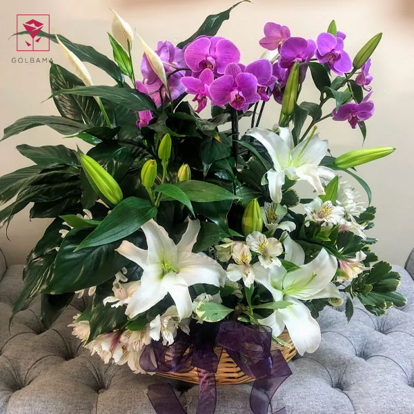 نمونه سبد گل ترحیم: گل زنبق