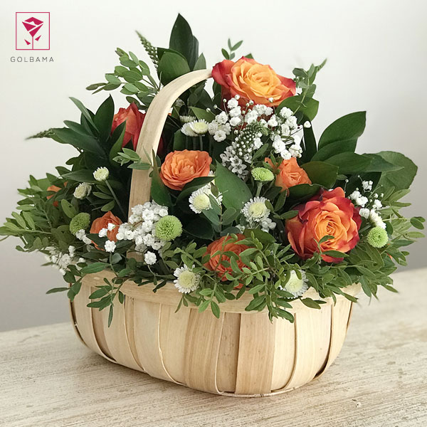 مدل سبد گل پول: سبد گل رز با پول