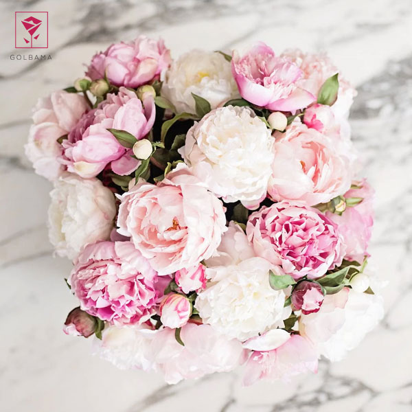 انتخاب گل سبد گل با پول برای تولد: گل ۱۰۰ تومانی