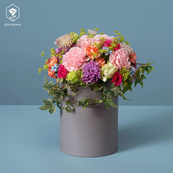 باکس گل تولد زنانه با گل میخک صد پر 
