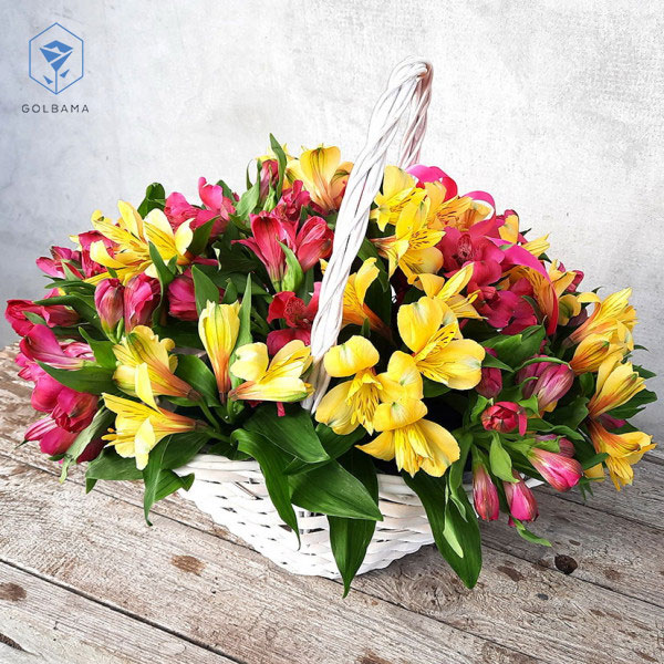 با گل آلسترومریا سبد گل تولد 
