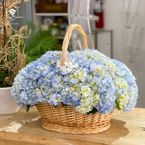 با گل ادریسی سبد گل تولد خواهر 