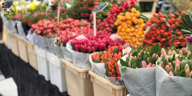 بازار گل شهید بابایی