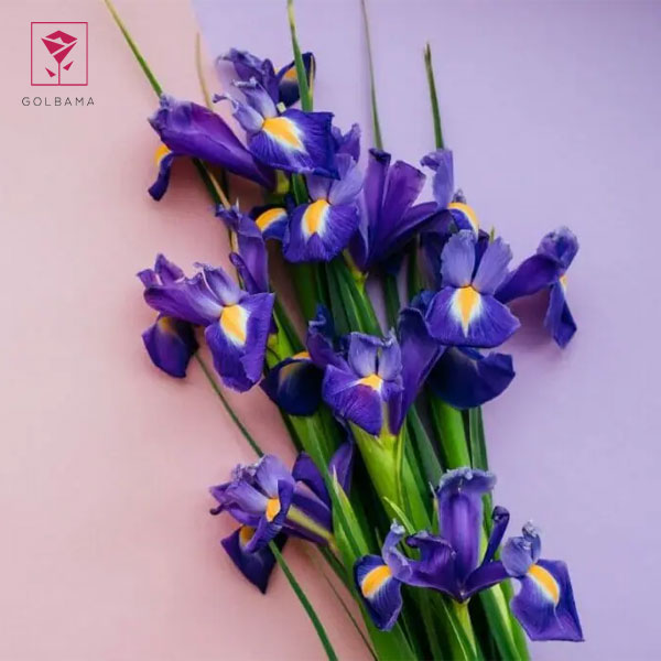 کیک و دسته گل تولد