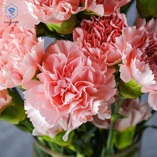 باکس گل لاکچری