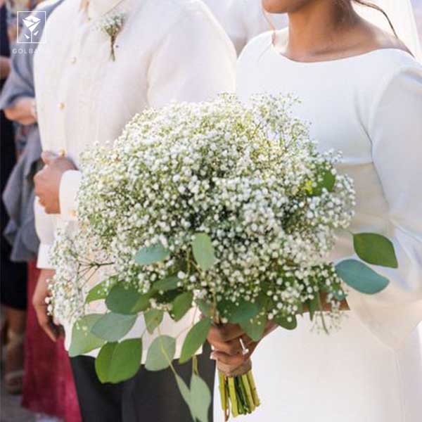 بهترین گل عروسی 2023: 6. گل عروس (ژیپسوفیلیا)