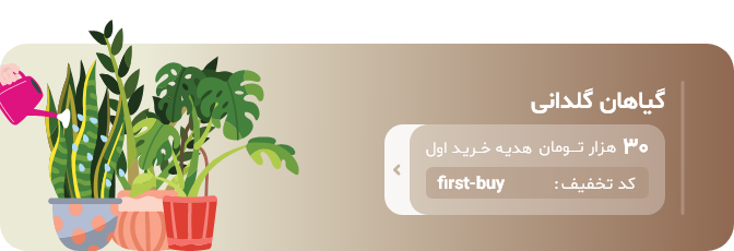 لذت داشتن گل آپارتمانی: خانه‌ی خود را سبز کنید