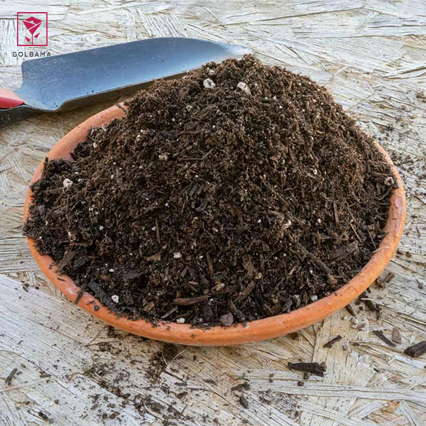 طرز نگهداری از گیاه شامادورا: 5. خاک نخل بامبو