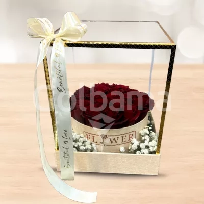 باکس مکعب شیشه ای رز قرمز