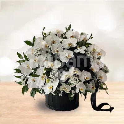 باکس گل استوانه ارکیده سفید