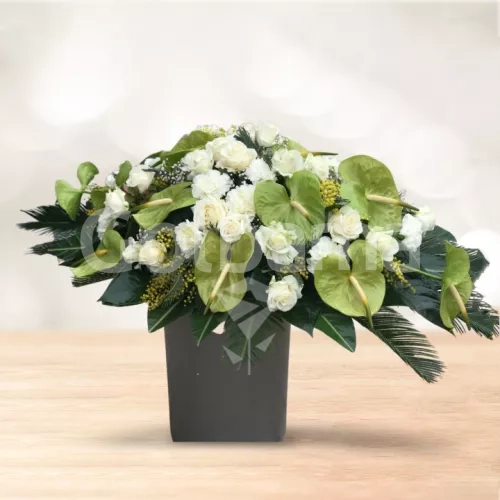 باکس گل استوانه ای رز آنتریوم سفید سبز