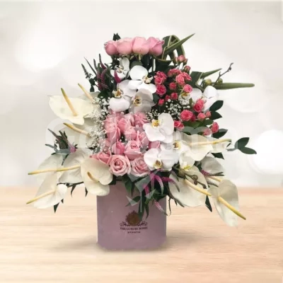 باکس گل استوانه ای رز ارکیده آنتوریوم سفید صورتی