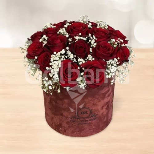 باکس گل استوانه ای متوسط رز قرمز عروس هلندی