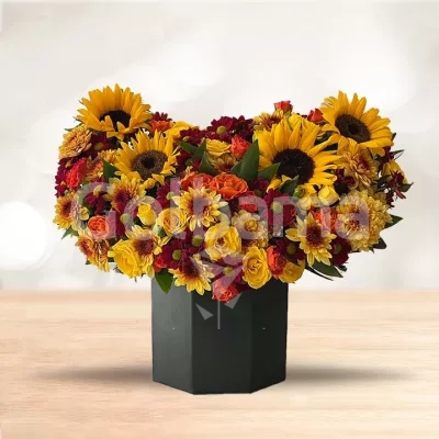 باکس گل داوودی آفتاب گردون