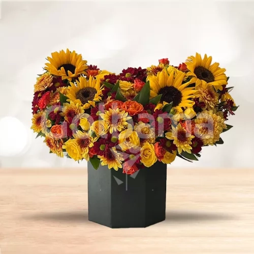 باکس گل داوودی آفتاب گردون