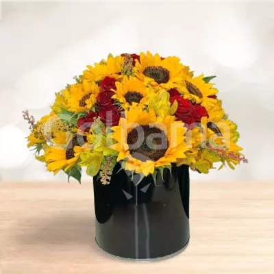 باکس گل رز آفتابگردون