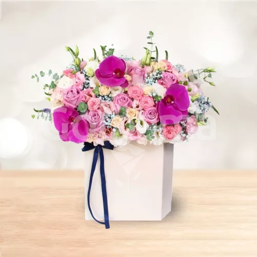 باکس گل رز ارکیده میخک صورتی بنفش