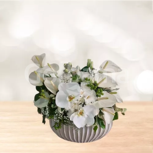 باکس گل رومیزی ارکیده آنتوریوم