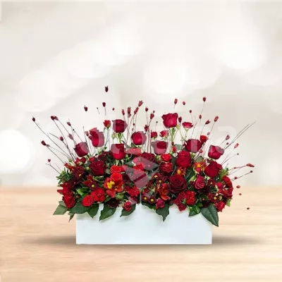 باکس گل سفید رز و رز مینیاتو قرمز