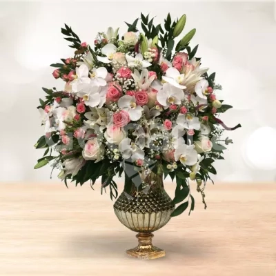 جام گل ارکیده لیلیوم کوتاه