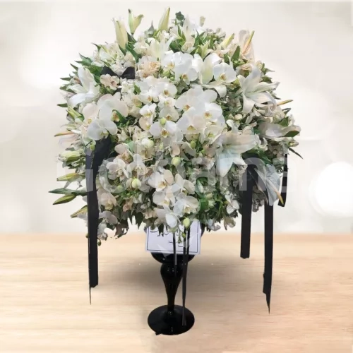 جام گل تسلیت بزرگ ارکیده اوریانتال