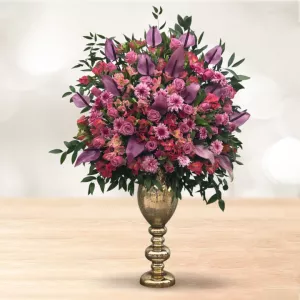 جام گل رز داوودی آنتوریوم بنفش