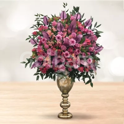 جام گل رز داوودی آنتوریوم بنفش