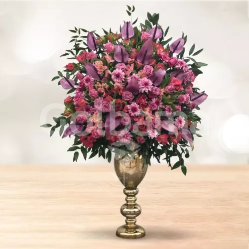 جام گل رز داوودی آنتوریوم بنفش