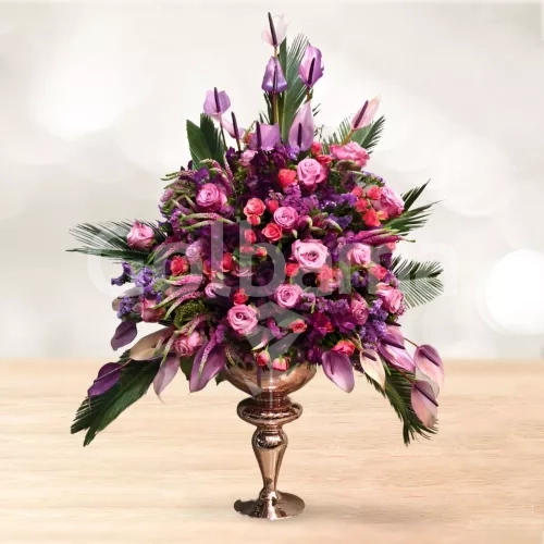 جام گل رز صورتی آنتریوم بنفش