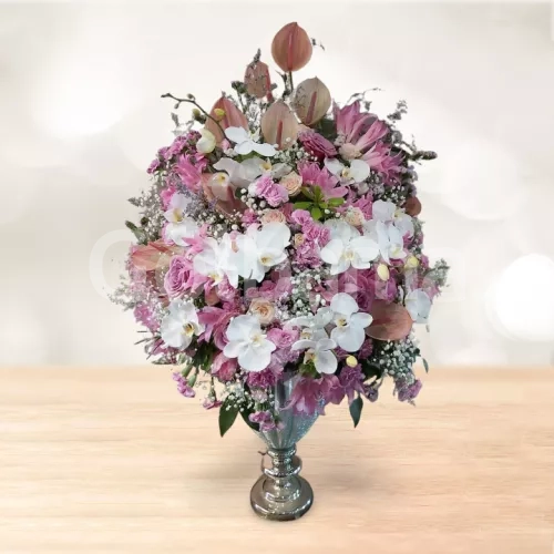 جام گل متوسط ارکیده آنتوریوم