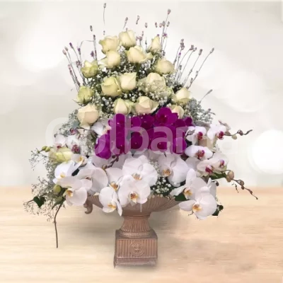 جام گل کوتاه رز ارکیده سفید بنفش