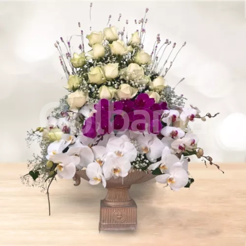 جام گل کوتاه رز ارکیده سفید بنفش