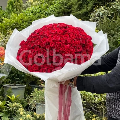 دسته گل بزرگ رز قرمز کاغذ سفید