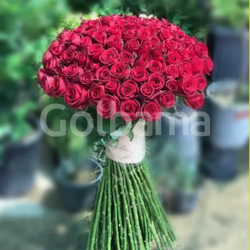 دسته گل رز بلند ۲۰۰ شاخه