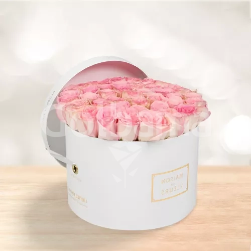 باکس گل رز سفید استوانه ای