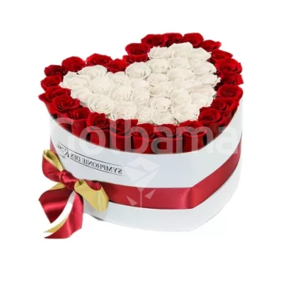 باکس گل رز هلندی سفید قرمز طرح قلب