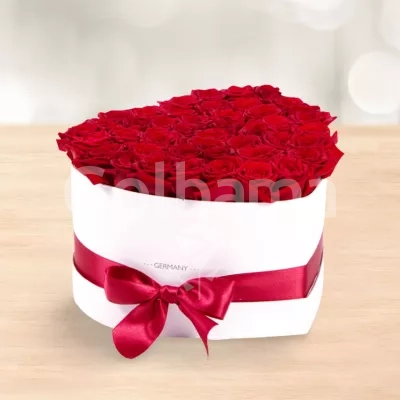 باکس گل رز هلندی قرمز طرح قلب