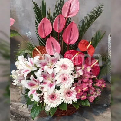 سبد گل آنتوریوم اوریانتال ژربرا سفید صورتی