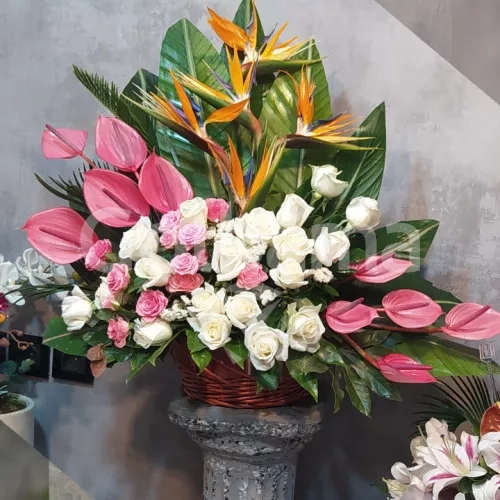 سبد گل رز استرلیزیا آنتریوم سفید صورتی