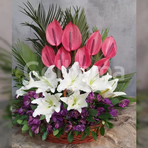 سبد گل لیلیوم آلسترومریا آنتوریوم بنفش صورتی