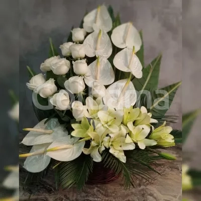 سبد گل لیلیوم رز آنتریوم سفید زرد