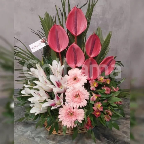 سبد گل ژربرا آنتریوم لیلیوم سفید صورتی