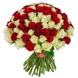 دسته گل 160 شاخه ای رز سفید قرمز