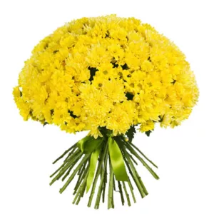 دسته گل 20 شاخه ای داوودی زرد